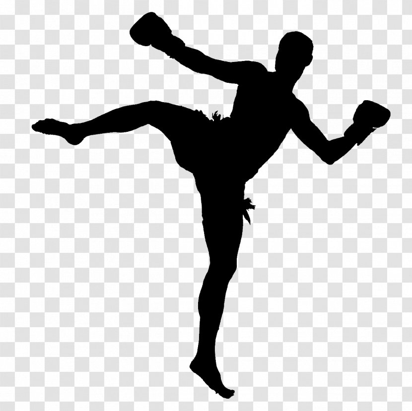 Muay Thai Kickboxing Combat Sport World Professional Muaythai Federation - Boxing - Wuxing Transparent PNG