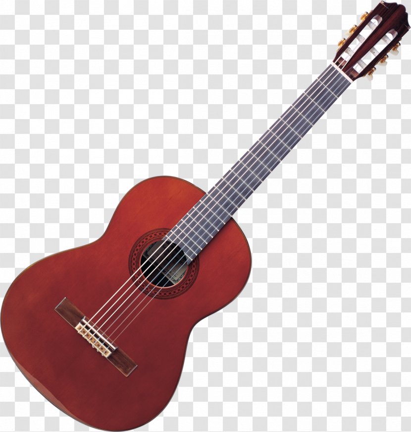 Classical Guitar Musical Instruments Instrumental - Cartoon Transparent PNG