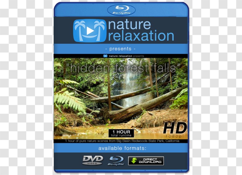 Blu-ray Disc 4K Resolution Ultra-high-definition Television High-definition Video - Silhouette - Waterfall Forest Park Kanching Transparent PNG