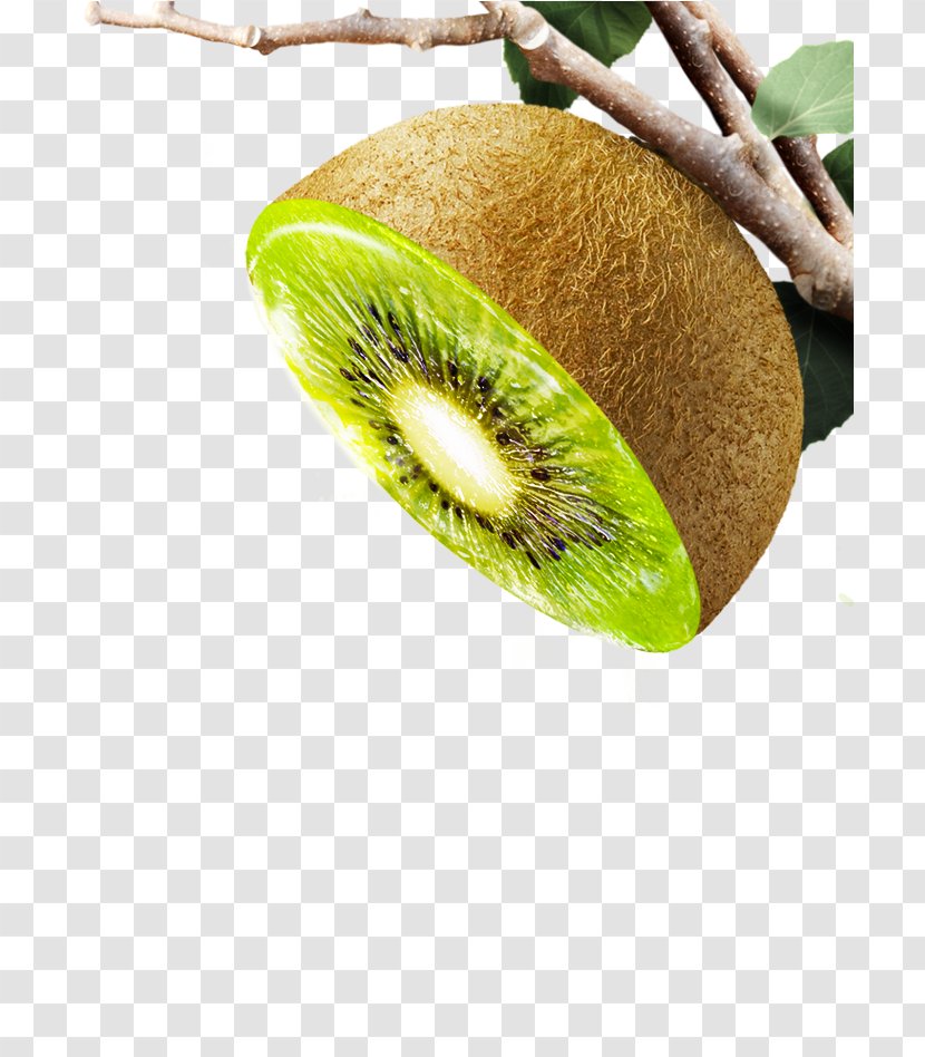 Kiwifruit Close-up - Kiwi Transparent PNG