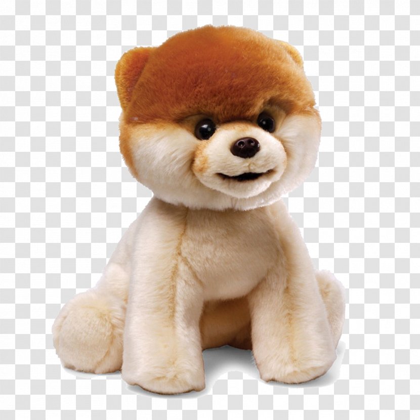 Pomeranian Boo Stuffed Toy Gund Plush - Watercolor - Dog File Transparent PNG