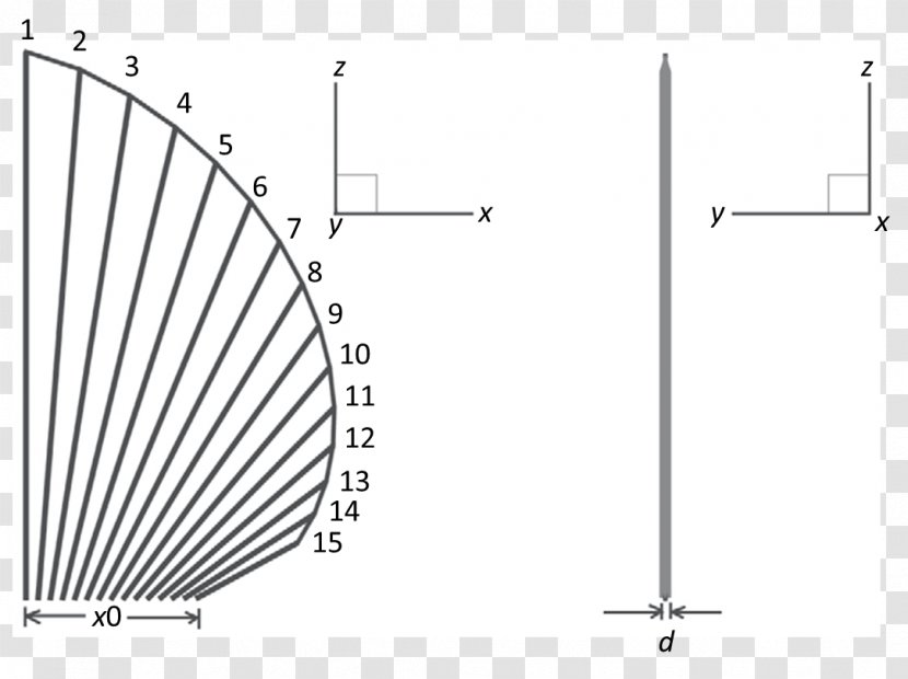 Fish Fin Locomotion Batoidea - Black And White - Geometry Transparent PNG