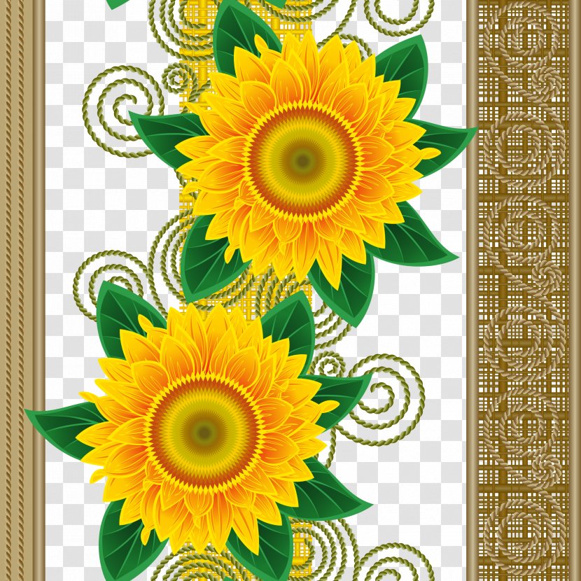 Common Sunflower - Gerbera - Floating Pattern Transparent PNG