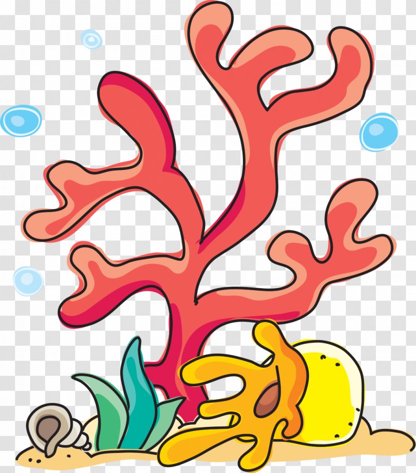 Drawing Sea Anemones And Corals Red Coral Paper Clip Art - Organism - Child Transparent PNG