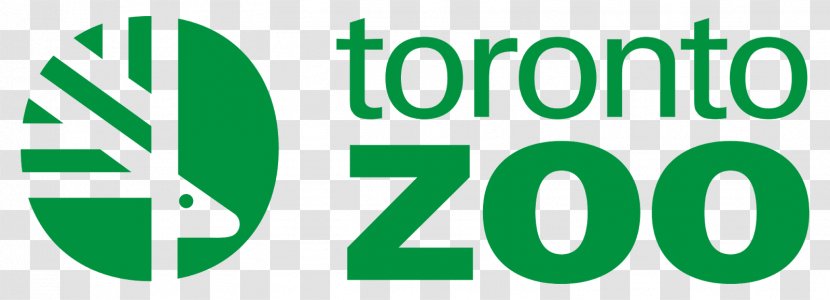Toronto Zoo Giant Panda Canada's Accredited Zoos And Aquariums Oasis Run 2018 - Er Shun Transparent PNG