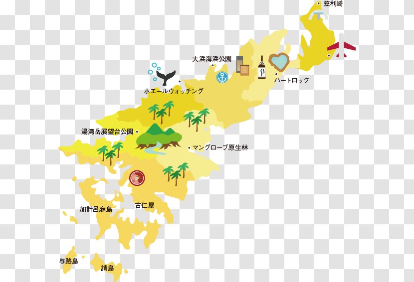 Kasari, Kagoshima Kakeromajima 一般社団法人あまみ大島観光物産連盟 Tourist Attraction Map - Tree Transparent PNG