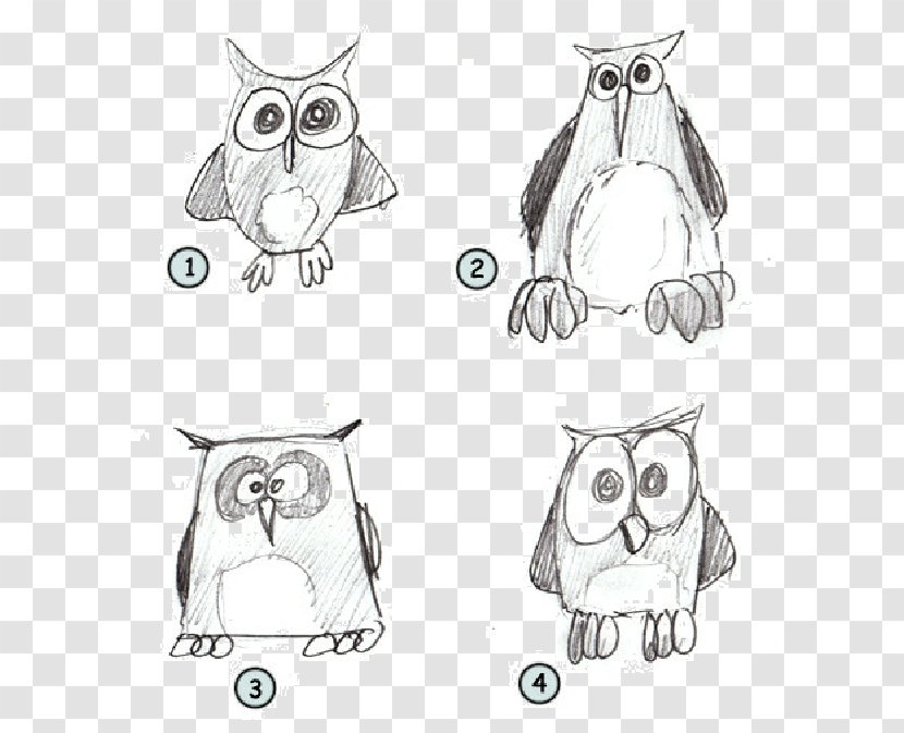 Owl Drawing Cartoon Sketch Transparent PNG