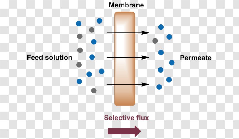 Membrane Technology Separation Process Nanofiltration Transparent PNG