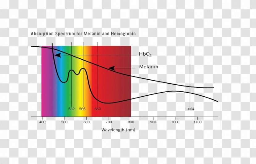 Light Absorption Melanin Hemoglobin Spectrum - Diagram Transparent PNG
