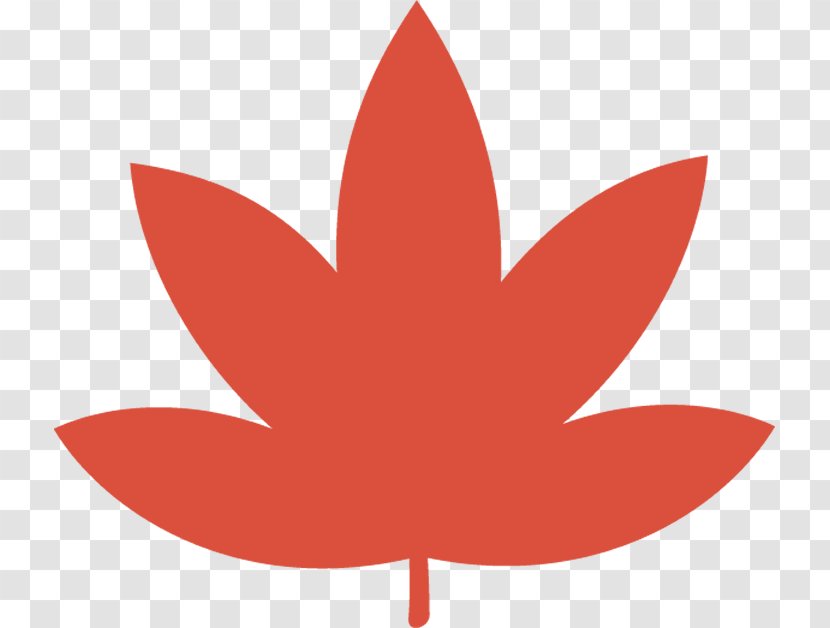 Maple Leaf - Red - Logo Woody Plant Transparent PNG