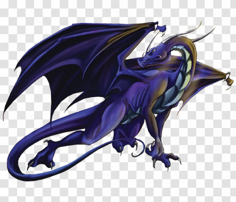 Dragon Animated Film Fantasy Wyvern - Art Transparent PNG