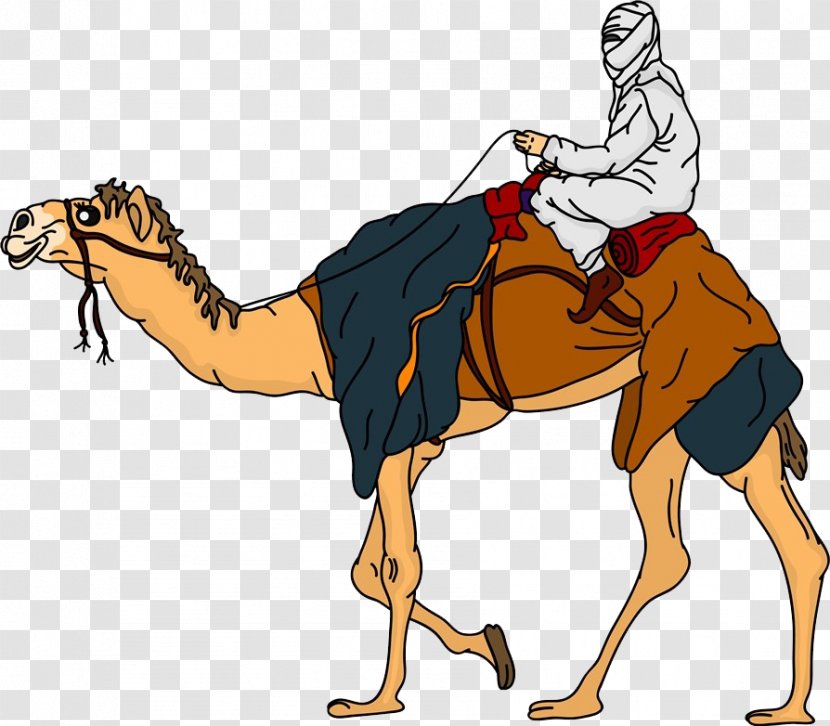 Bactrian Camel Dromedary Equestrianism Clip Art - Arabian - A Man Transparent PNG