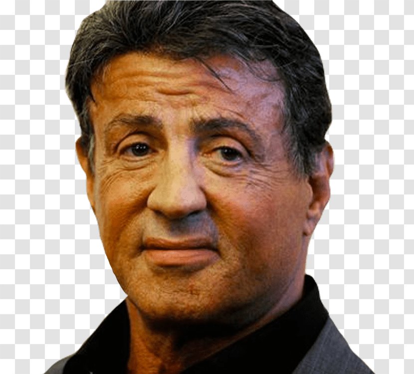 Sylvester Stallone Rocky Portrait Painting Actor - Wrinkle Transparent PNG