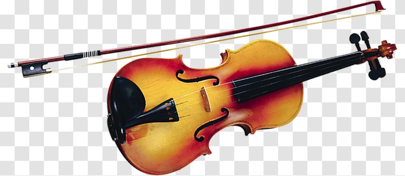 Bass Violin Violone Viola Cello - Violinist - A Transparent PNG