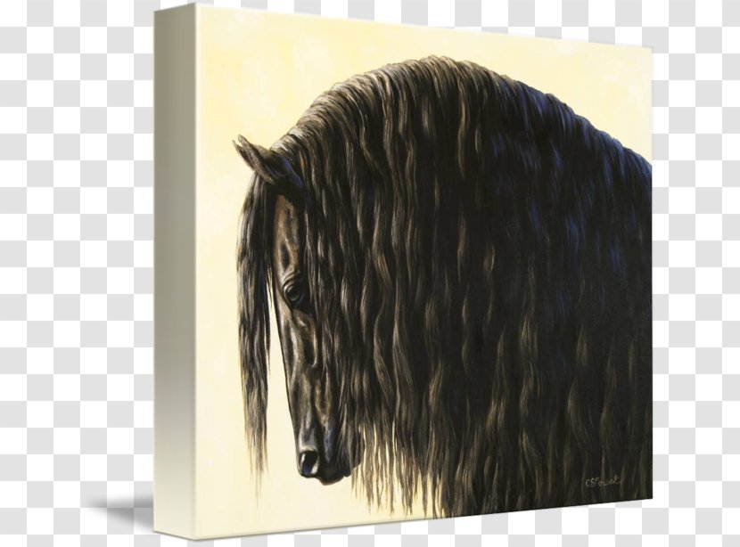 Friesian Horse Painting Canvas Print Mustang Stallion - Animal Transparent PNG