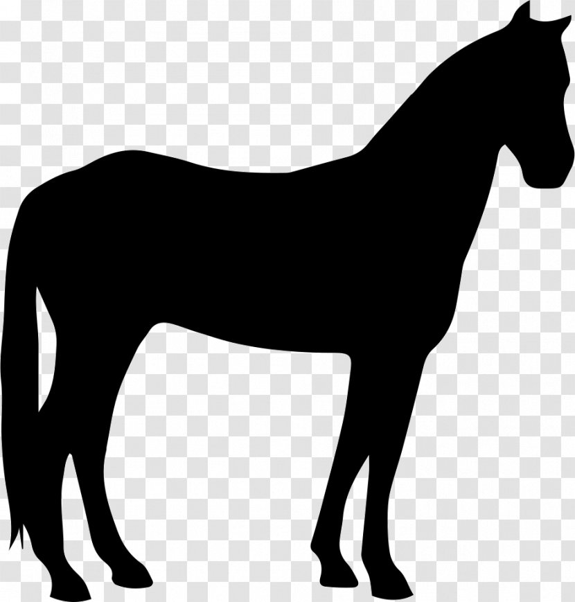 Horse Pony Silhouette Flaxen Gene - Colt Transparent PNG