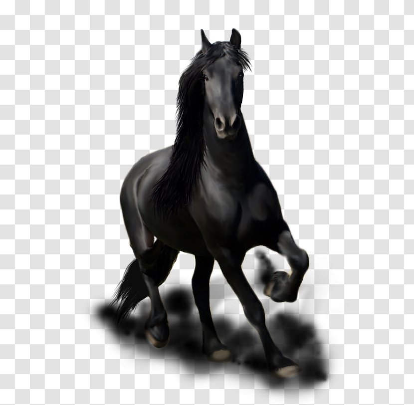 Friesian Horse Stallion Mane Mustang Mare - Art Transparent PNG