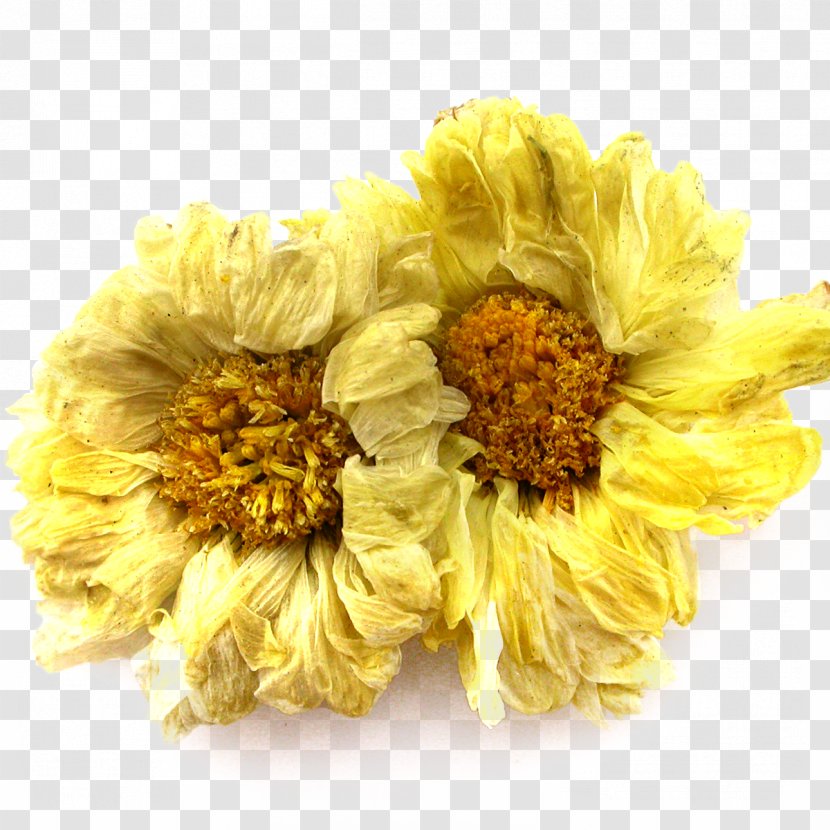 Chrysanthemum Xd7grandiflorum Indicum Tea Dendranthema Lavandulifolium - Floral Design - Flower Material Transparent PNG