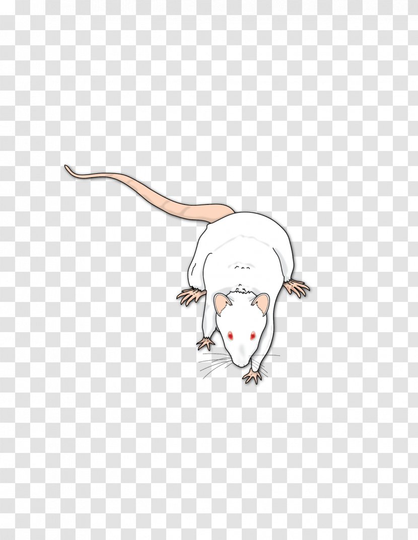 Illustrator Science Hypothesis Cartoonist - Frame - Rat & Mouse Transparent PNG