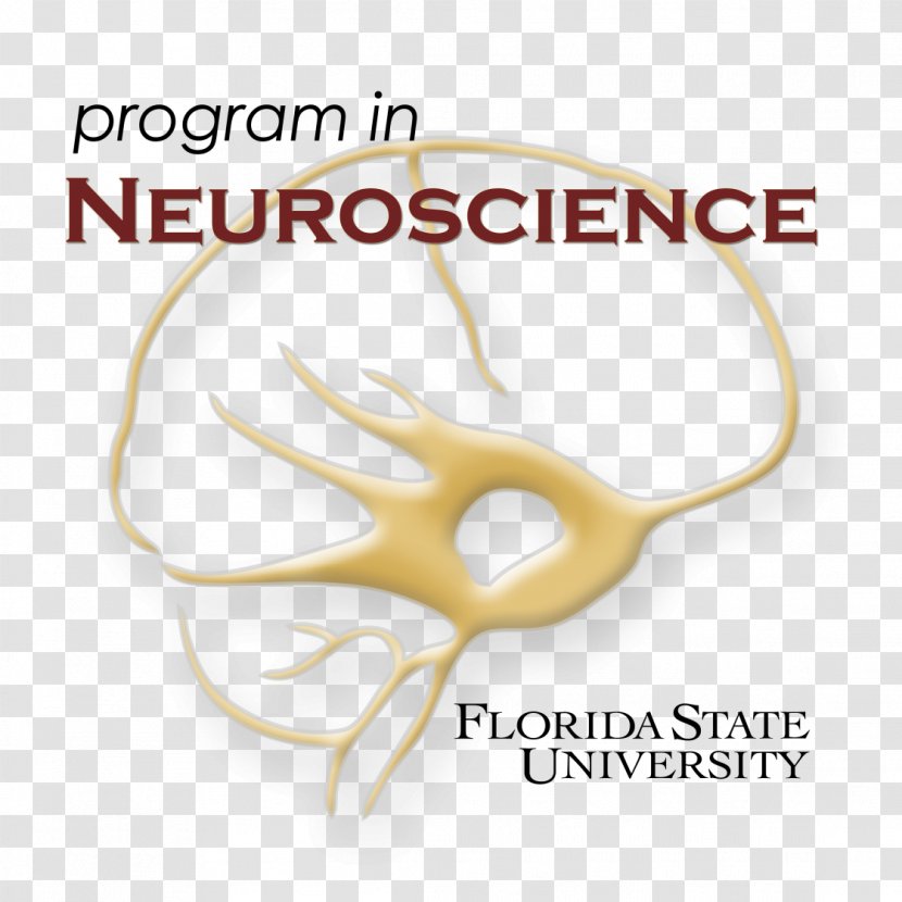 Florida State University Research Neuroscience Biology - Body Jewellery Transparent PNG