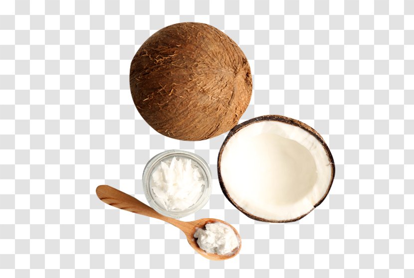 Coconut Oil Extraction - Flavor - Natural Freshly Squeezed HD Clips Transparent PNG
