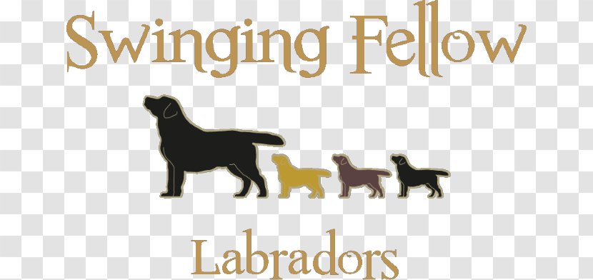 Dog Breed Puppy Labrador Retriever German Shepherd Newfoundland - Carnivoran Transparent PNG
