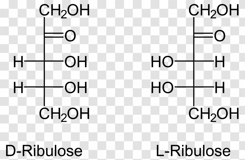 Ribulose 5-phosphate Ribose Arabinose 1,5-bisphosphate - Symmetry Transparent PNG