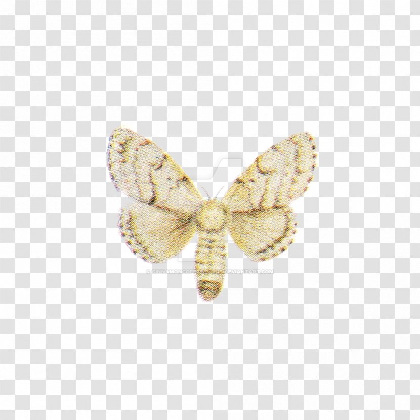Butterfly Insect Pollinator Moth Brooch - Butterflies And Moths Transparent PNG