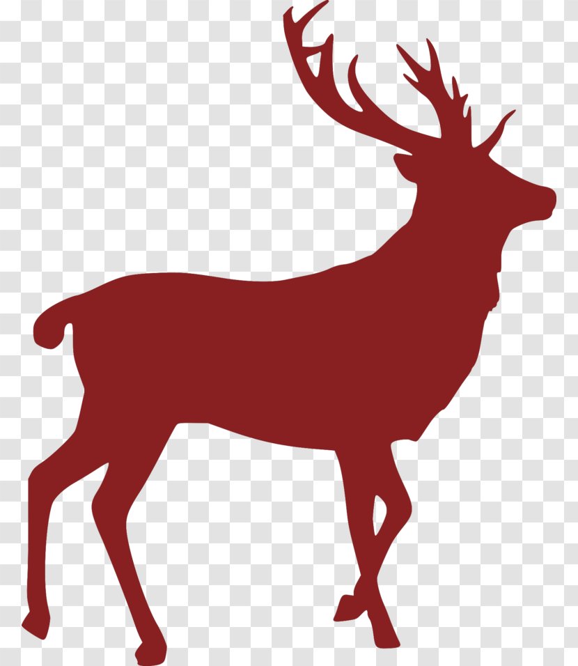 Red Deer Moose Elk Roe Transparent PNG