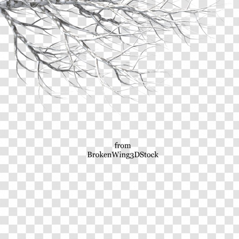 Branch Clip Art Tree Twig - Text Transparent PNG