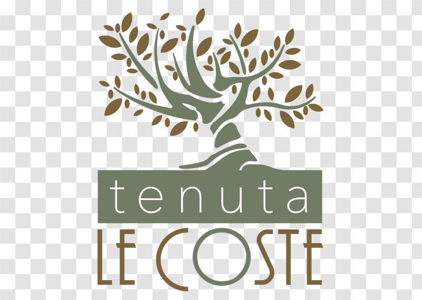 Tenuta Le Coste S.R.L. Aix-en-Provence Amazon.com Amazon Alexa Olive - Branch - Umbro Logo Transparent PNG