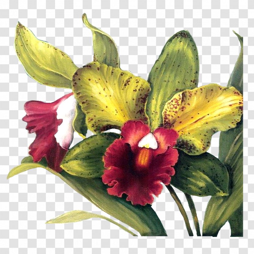 Flower Paper Decoupage Painting - Botany - Audit Transparent PNG