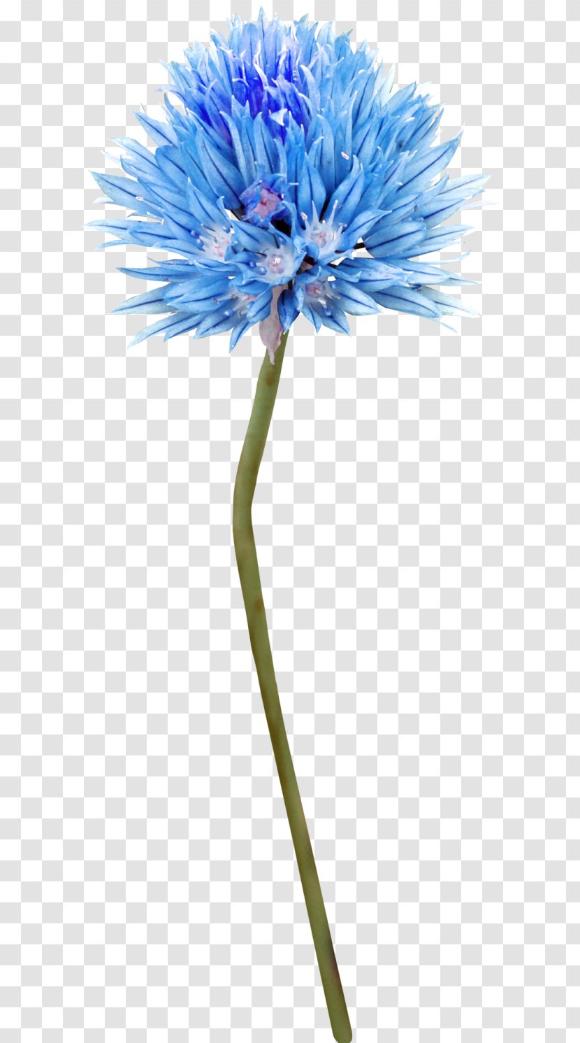 Cut Flowers Blue Tattoo Plant Stem - 2017 - Floral Transparent PNG