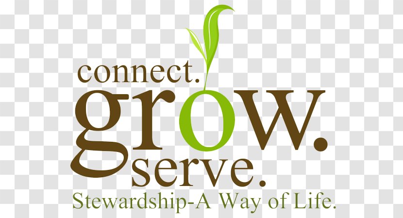 Logo Bible Brand Font Clip Art - Area - Church Stewardship Transparent PNG