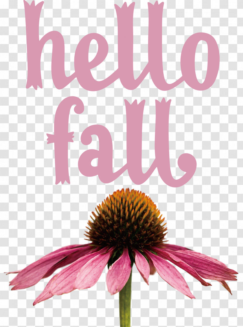 Hello Fall Fall Autumn Transparent PNG