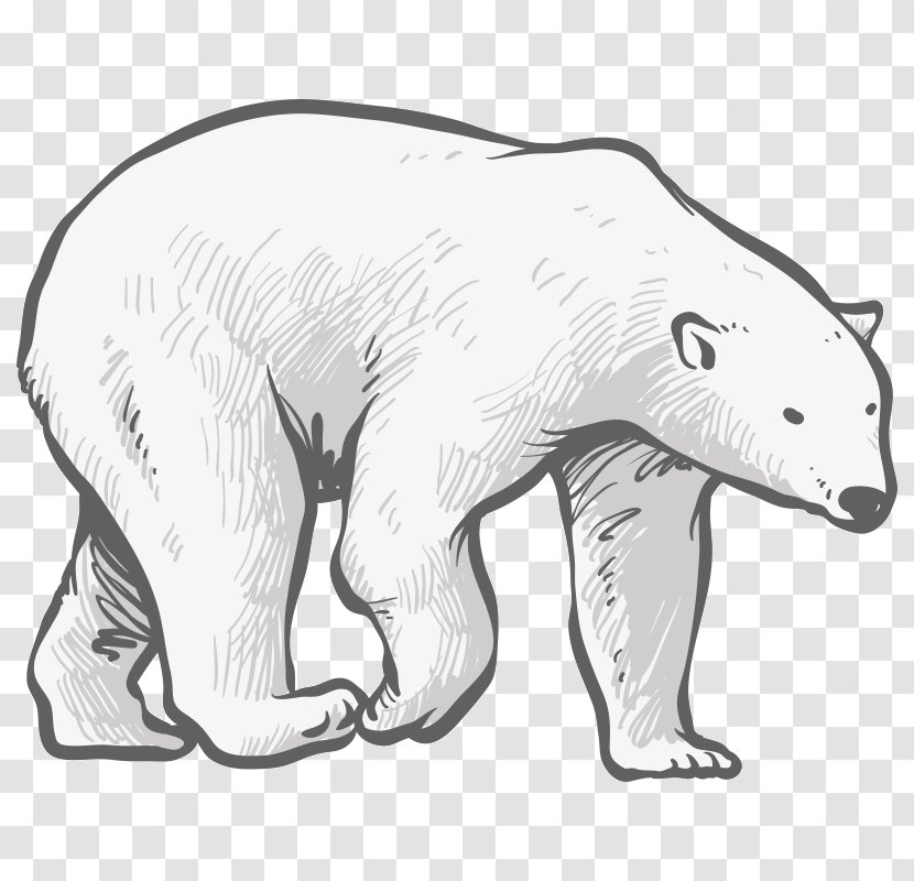 Polar Bear Sketch Dog Canidae - Terrestrial Animal Transparent PNG