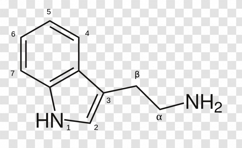 8-Anilinonaphthalene-1-sulfonic Acid Selenomethionine Chemistry Chemical Substance - Naphthalene1sulfonic - Structural Element Transparent PNG