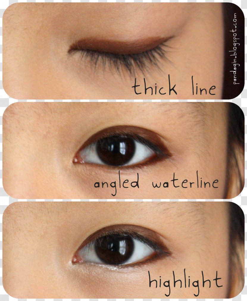 Eyelash Extensions Eye Liner Shadow Lip - Bushy Eyebrows Transparent PNG