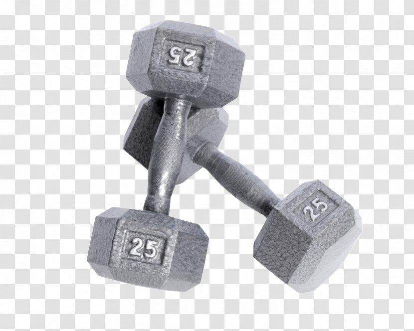 Dumbbell Weight Training Exercise Equipment Physical Fitness Barbell - Hardware Transparent PNG