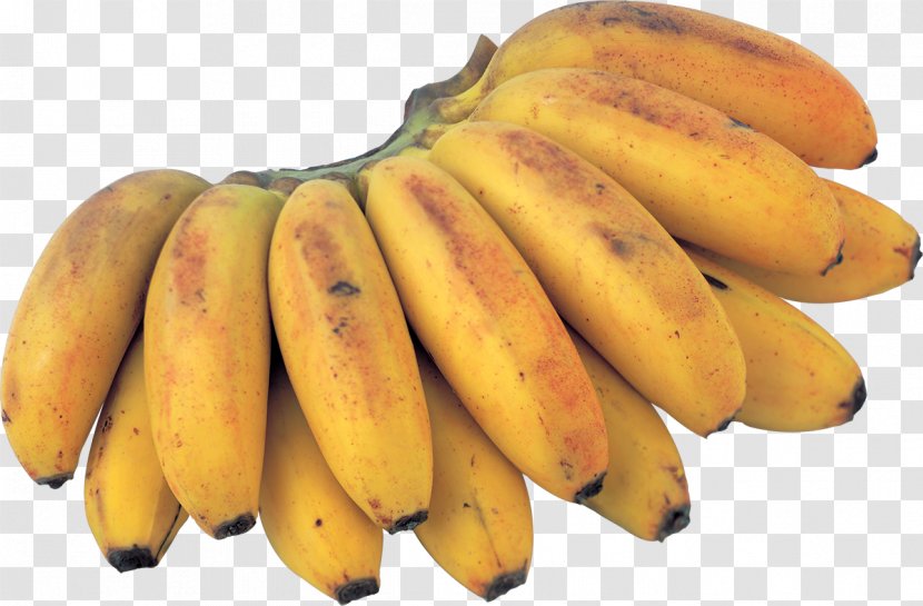 Saba Banana Tropical Fruit Food - Kiwifruit Transparent PNG