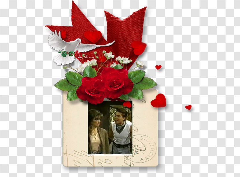 Garden Roses Christmas Day Flower Bouquet Greeting & Note Cards - Gift Transparent PNG