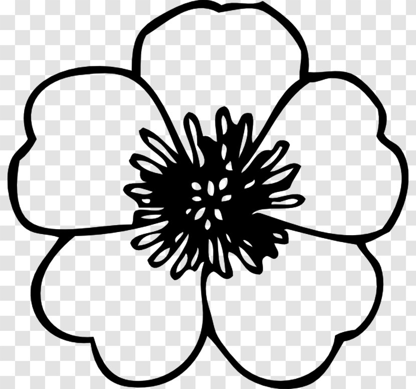 Flower White Drawing Clip Art - Stock Photography Transparent PNG