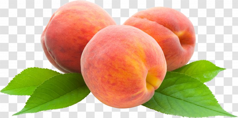 Juice Peach Clip Art - Local Food - Image Transparent PNG