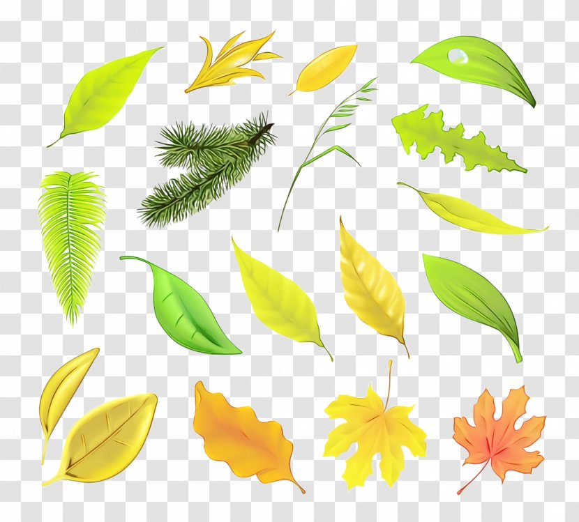 Leaf Yellow Plant Flower Clip Art Transparent PNG