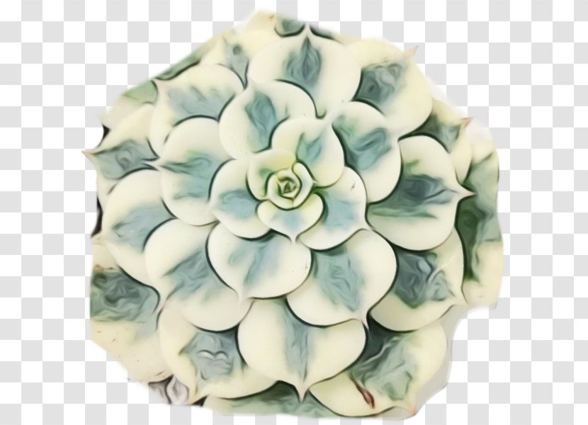 Cut Flowers Petal - Hydrangea - Turquoise Transparent PNG
