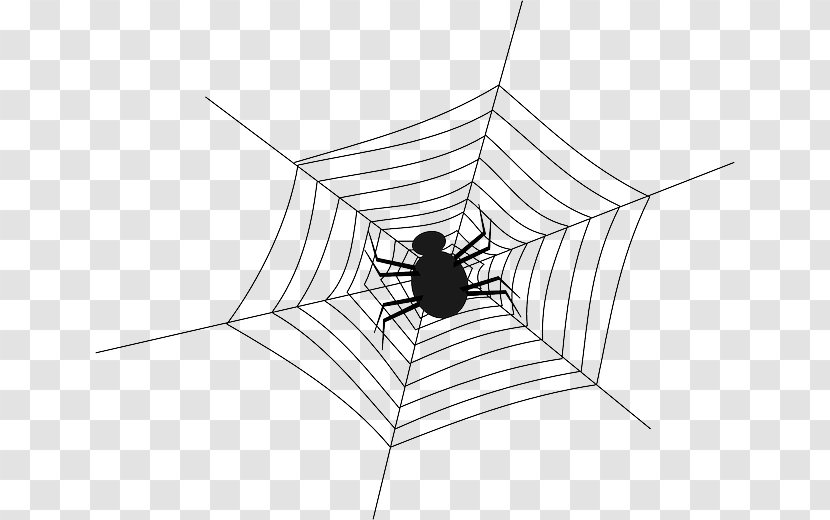 Spider Web Clip Art - Area Transparent PNG