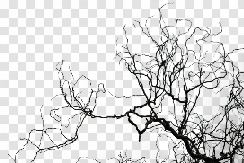 Black And White Twig Sketch - Art - Networking Topics Transparent PNG