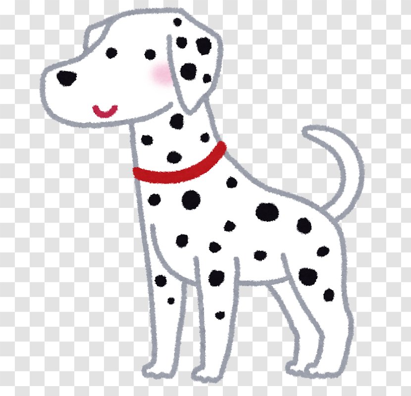 Dalmatian Dog Puppy Cat Breed Companion - Paw Transparent PNG