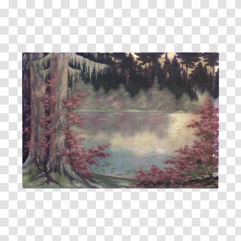 Bayou Wetland Ecosystem Painting State Park - Forest Transparent PNG