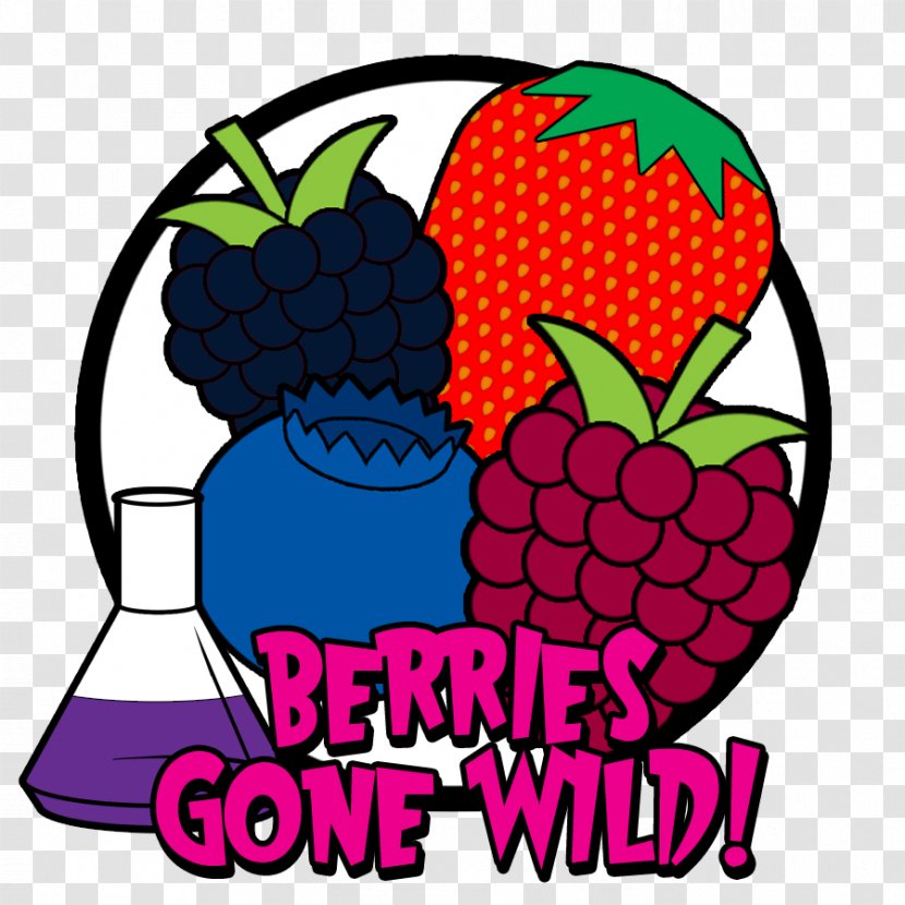 Fruit Cartoon Berry Clip Art - Flavor - Wild Transparent PNG
